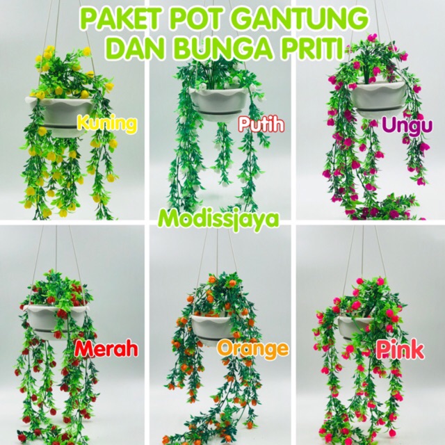 Detail Contoh Bunga Gantung Nomer 28