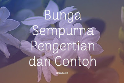 Detail Contoh Bunga Hermaprodit Nomer 17