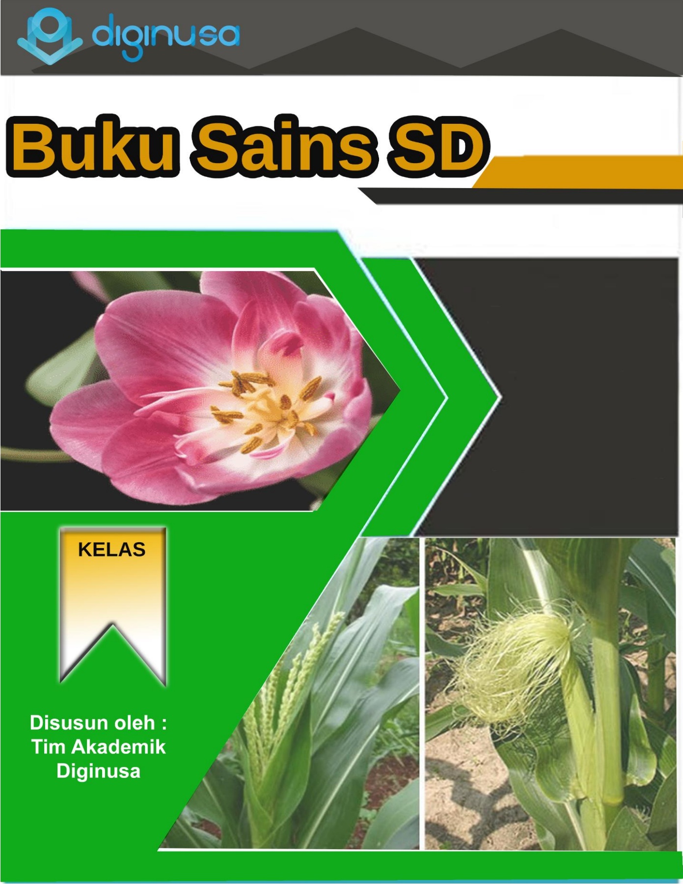 Detail Contoh Bunga Hermaprodit Nomer 27