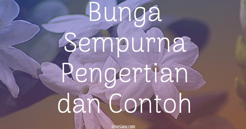 Detail Contoh Bunga Lengkap Nomer 26