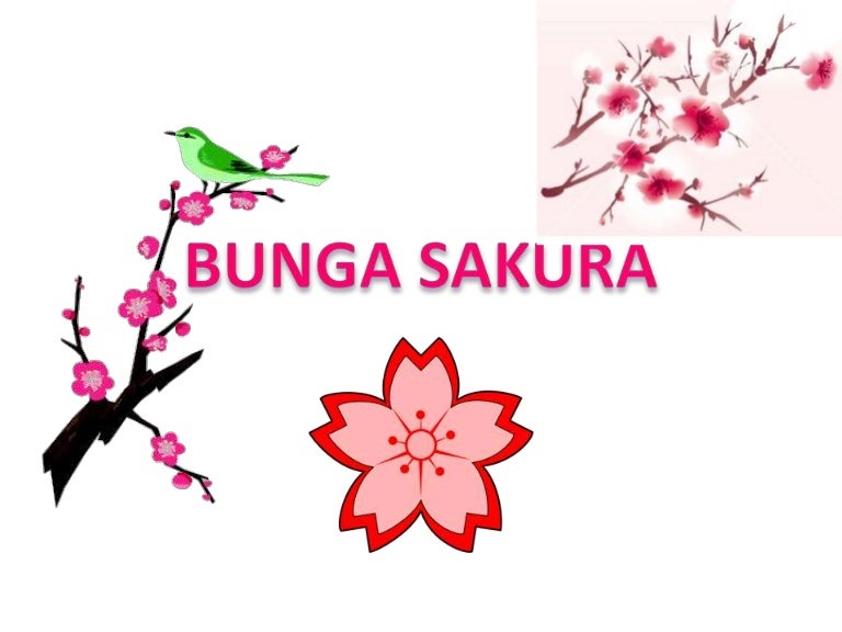 Detail Contoh Bunga Sakura Nomer 17