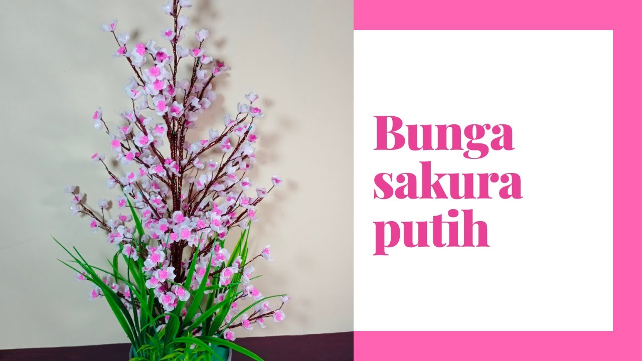 Detail Contoh Bunga Sakura Nomer 45