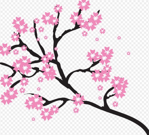 Detail Contoh Bunga Sakura Yang Mudah Digambar Nomer 31