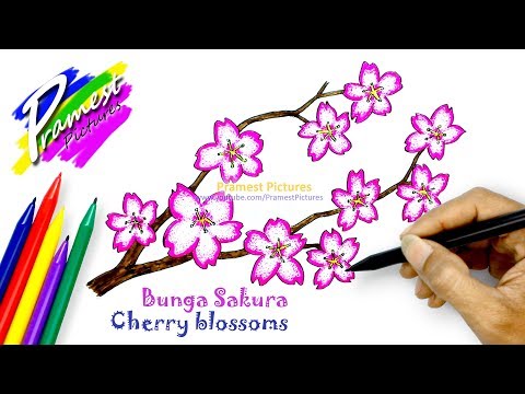 Detail Contoh Bunga Sakura Yang Mudah Digambar Nomer 44