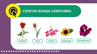 Detail Contoh Bunga Tidak Sempurna Nomer 17