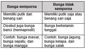 Detail Contoh Bunga Tidak Sempurna Nomer 43