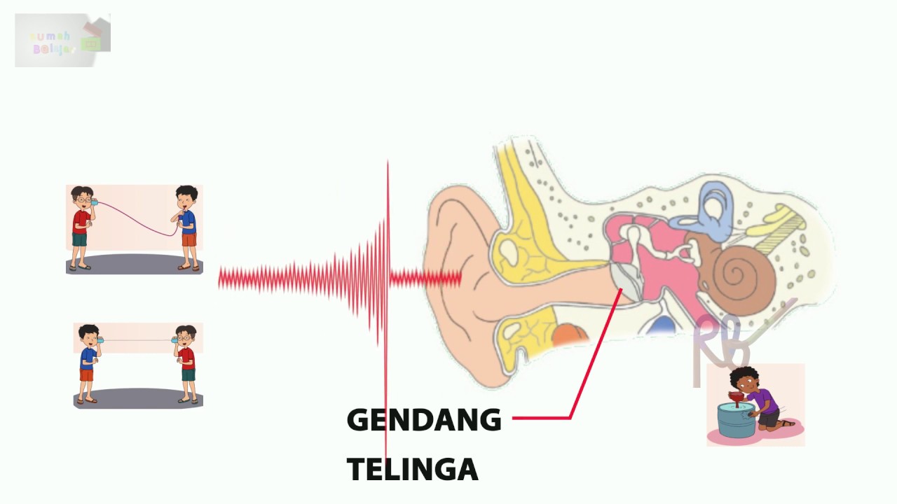 Detail Contoh Bunyi Audiosonik Nomer 17