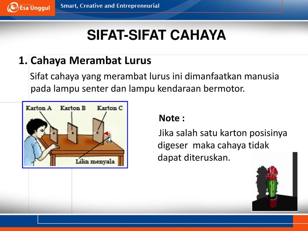 Detail Contoh Cahaya Merambat Lurus Nomer 50