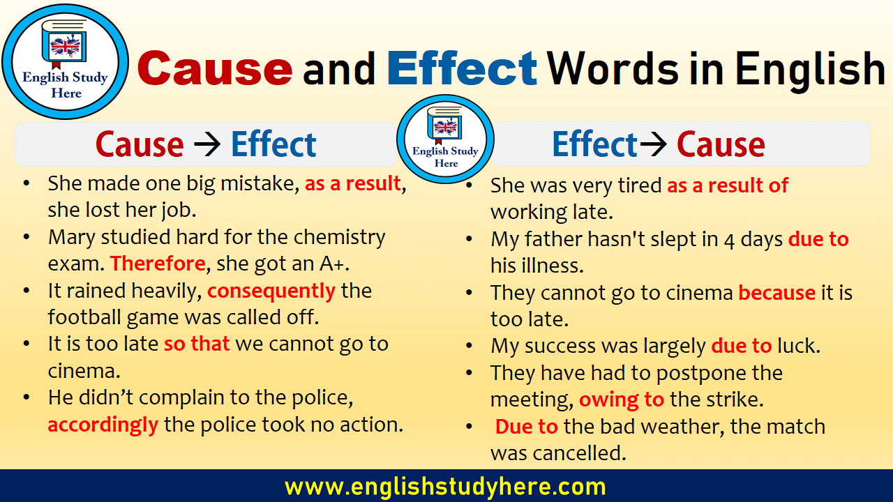 Detail Contoh Cause And Effect Nomer 2