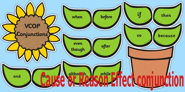 Detail Contoh Cause And Effect Nomer 36