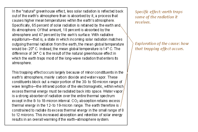 Detail Contoh Cause And Effect Paragraph Nomer 32