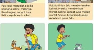 Detail Contoh Cerita Bergambar Tentang Hewan Kesayangan Nomer 31