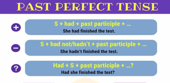 Detail Contoh Cerita Menggunakan Present Perfect Tense Nomer 14