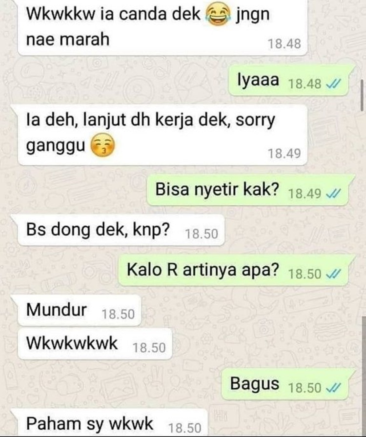 Detail Contoh Chat Dengan Gebetan Agar Tidak Bosan Nomer 19