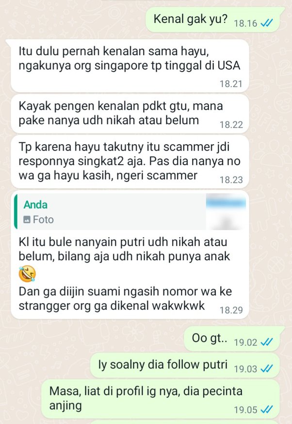 Detail Contoh Chat Kenalan Wa Nomer 51