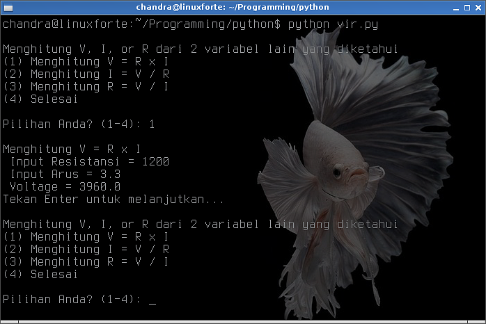 Contoh Coding Python - 51+ Koleksi Gambar