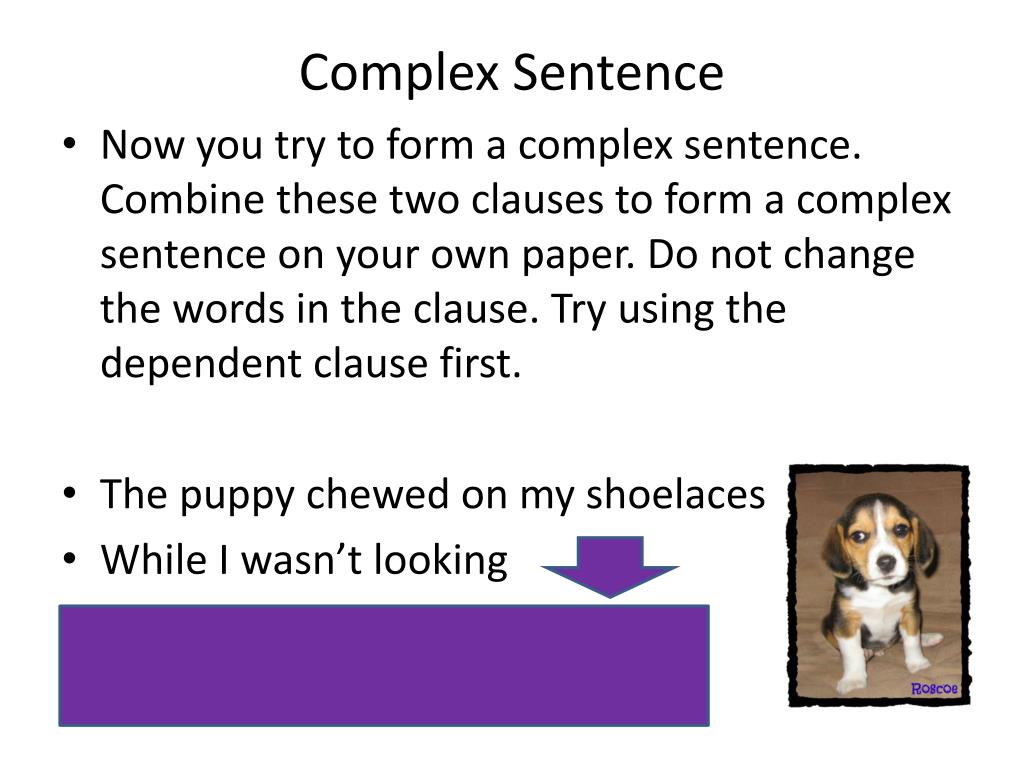 Detail Contoh Compound Complex Sentence Nomer 47