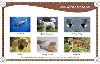 Detail Contoh Contoh Hewan Karnivora Nomer 12