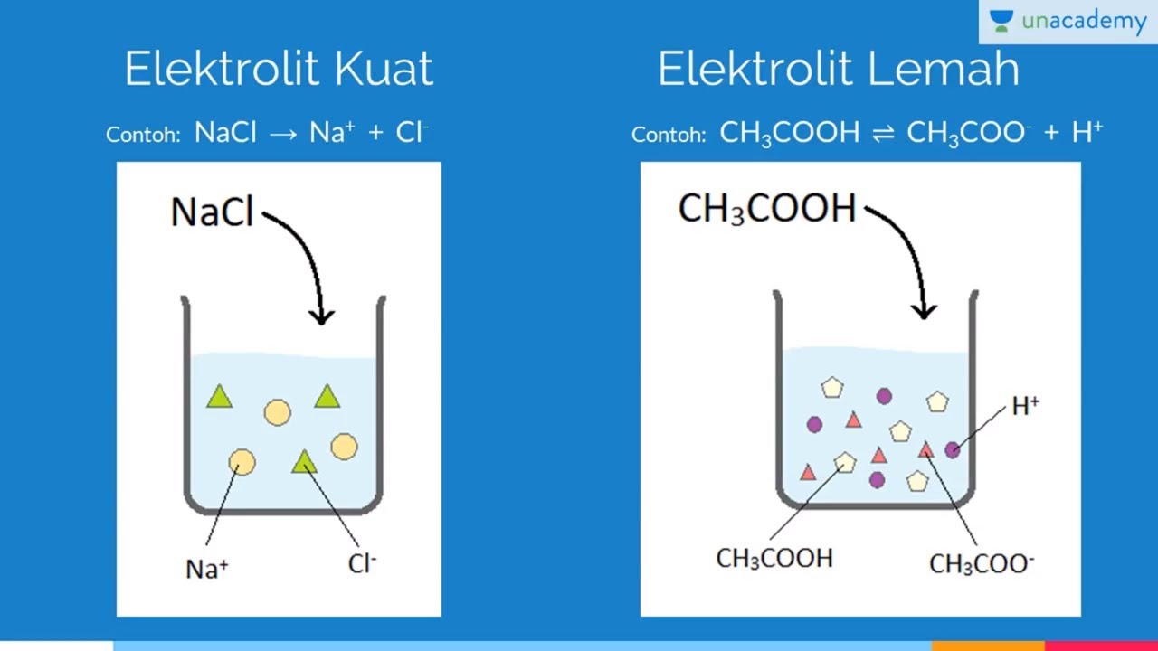 Detail Contoh Contoh Larutan Elektrolit Nomer 33