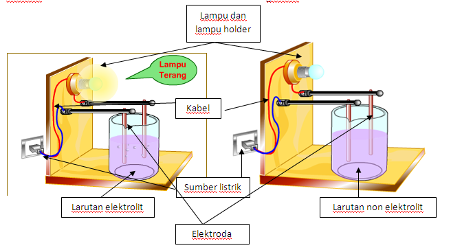 Detail Contoh Contoh Larutan Elektrolit Nomer 35