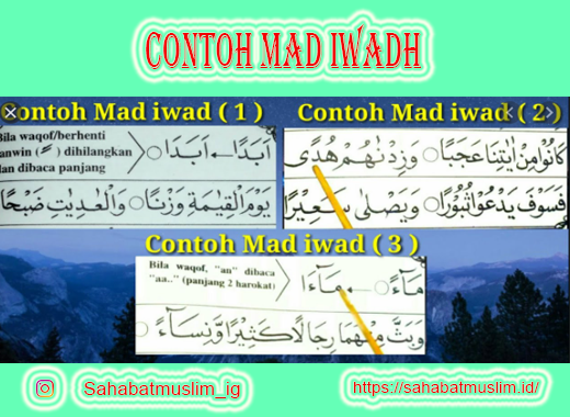 Detail Contoh Contoh Mad Iwad Nomer 9