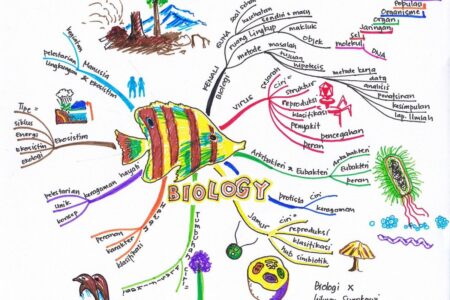 Detail Contoh Contoh Mind Mapping Nomer 40