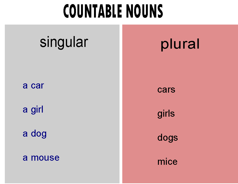 Detail Contoh Countable Noun Nomer 15