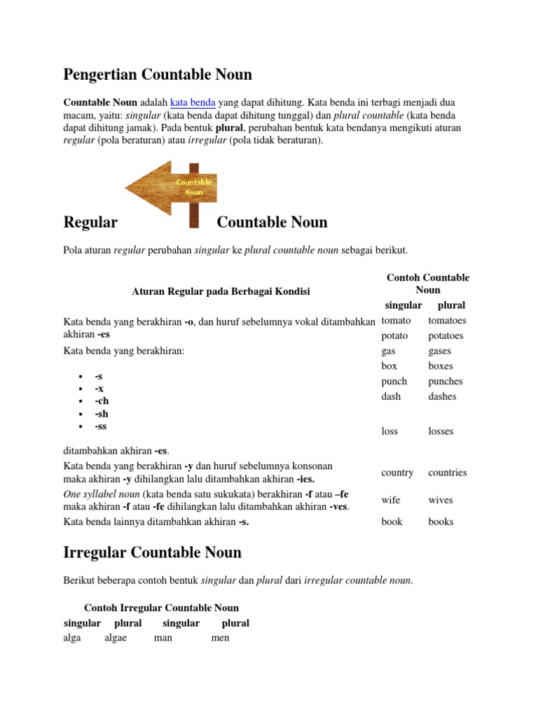 Detail Contoh Countable Noun Nomer 38