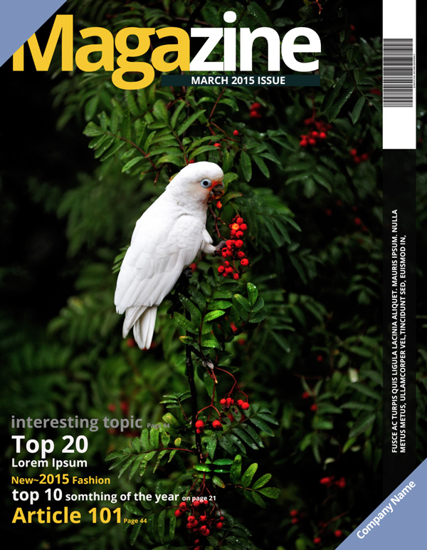 Detail Contoh Cover Majalah Dengan Photoshop Nomer 39