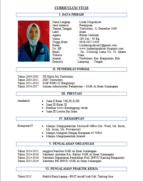 Detail Contoh Cv About Me Nomer 43