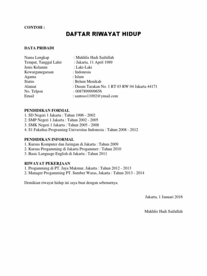 Detail Contoh Cv Data Diri Nomer 44