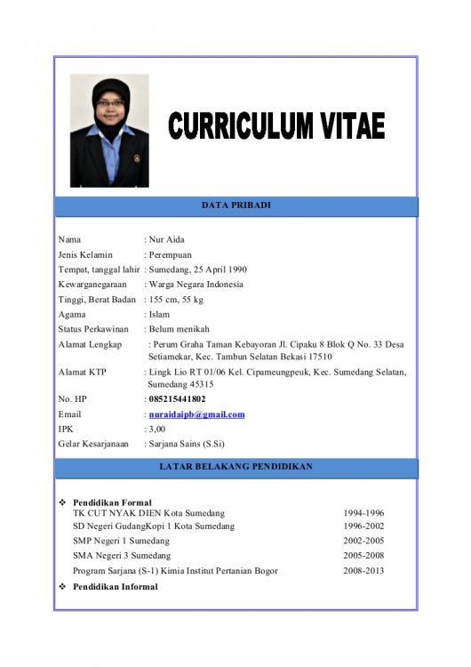 Detail Contoh Cv Email Nomer 12