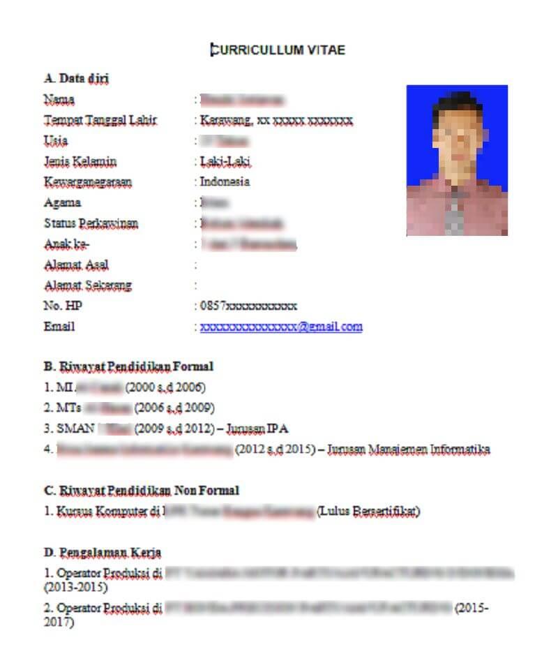 Detail Contoh Cv Email Nomer 34