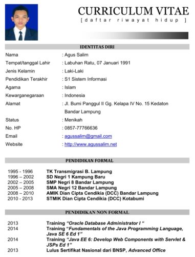 Detail Contoh Cv Email Nomer 54