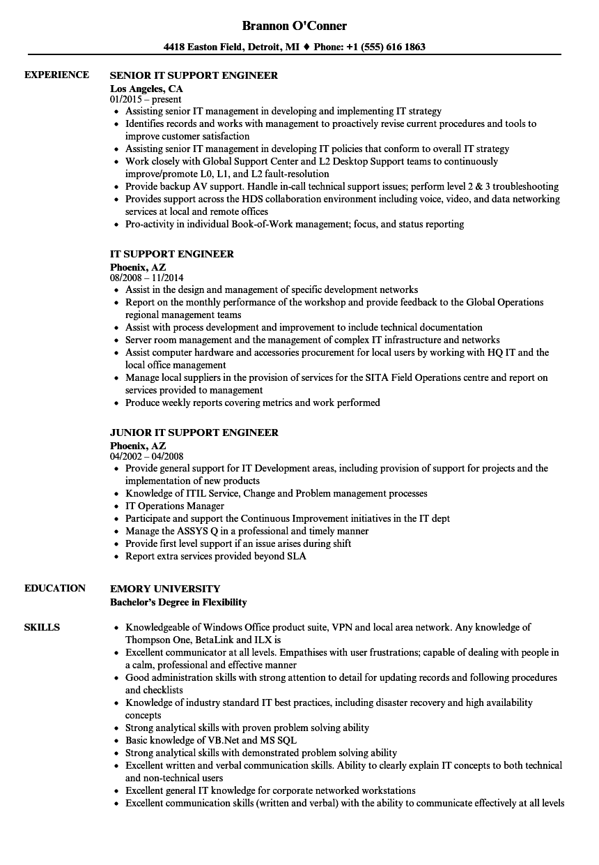 Detail Contoh Cv It Support Nomer 8