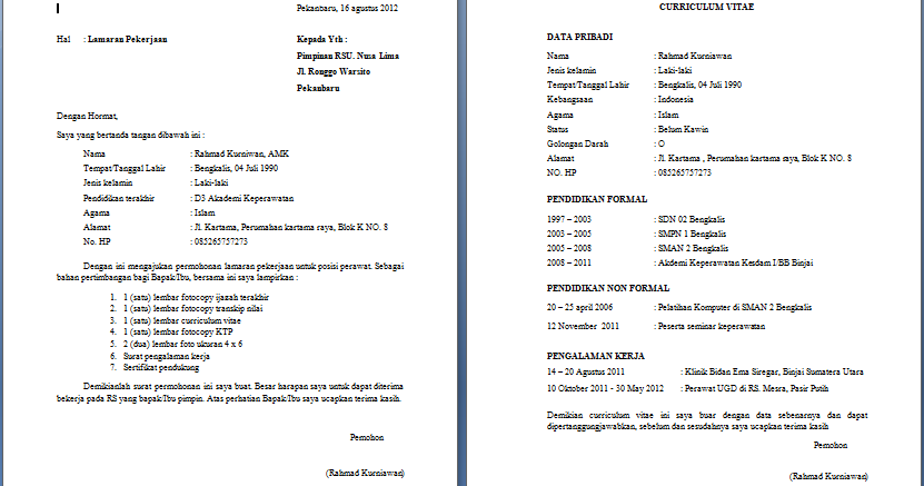 Detail Contoh Cv Lamaran Nomer 46