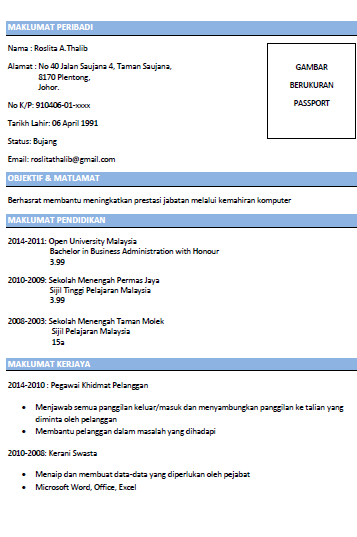 Detail Contoh Cv Lengkap Nomer 29