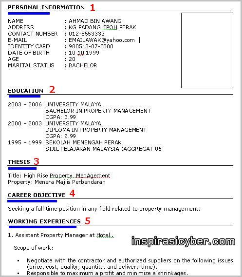 Detail Contoh Cv Lengkap Nomer 32