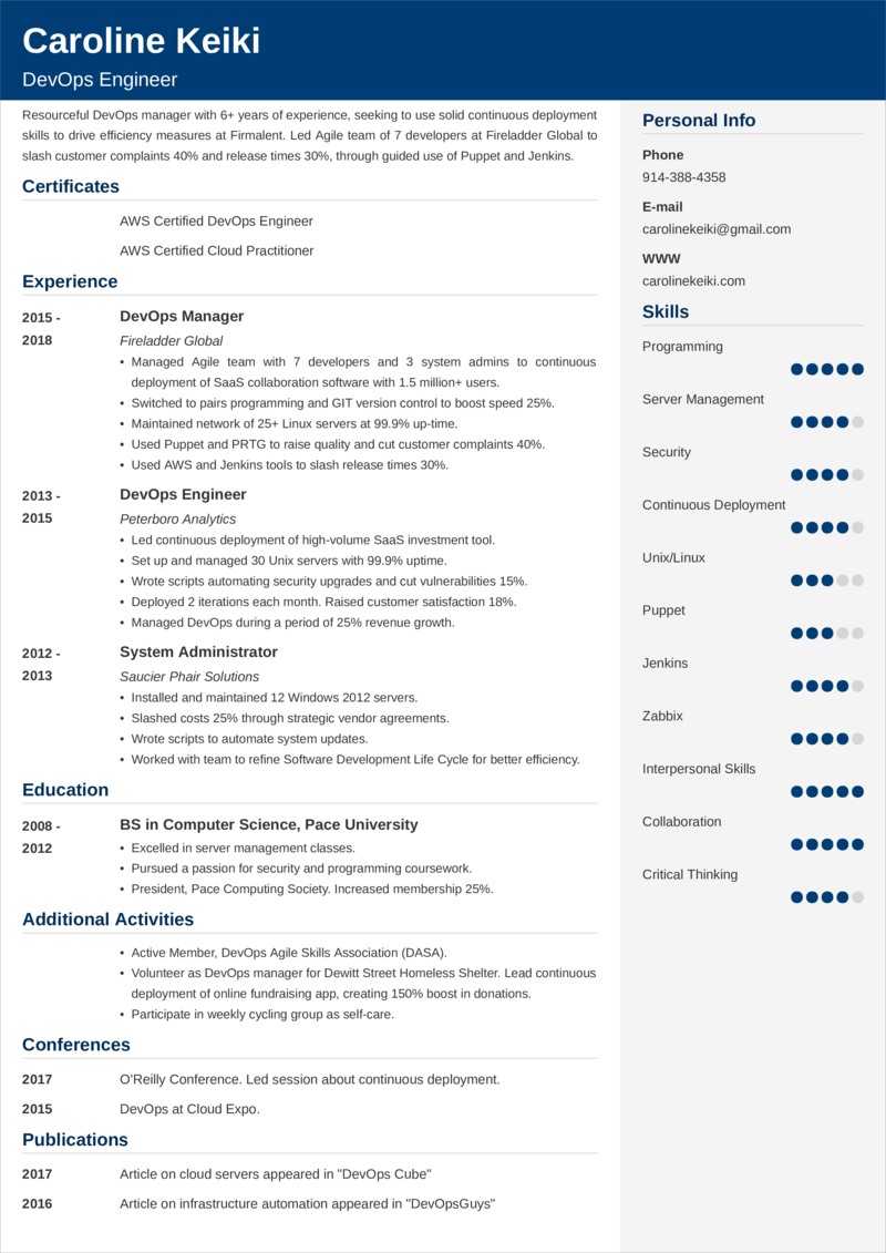 Detail Contoh Cv Programmer Nomer 11