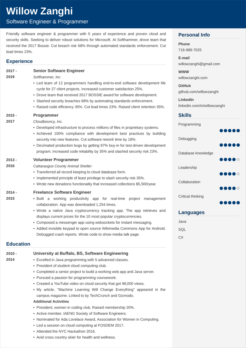 Detail Contoh Cv Programmer Nomer 4