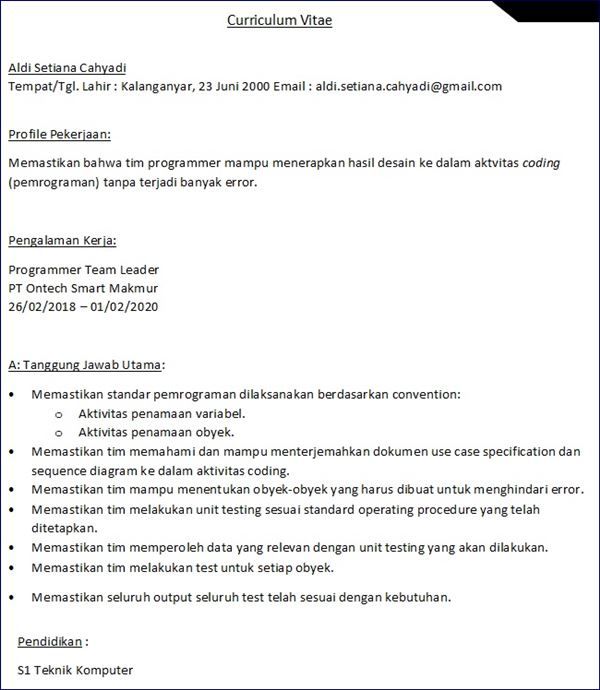 Detail Contoh Cv Programmer Nomer 43