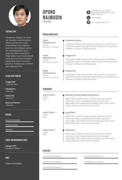 Detail Contoh Cv Programmer Nomer 6