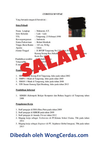 Detail Contoh Cv Resmi Nomer 37