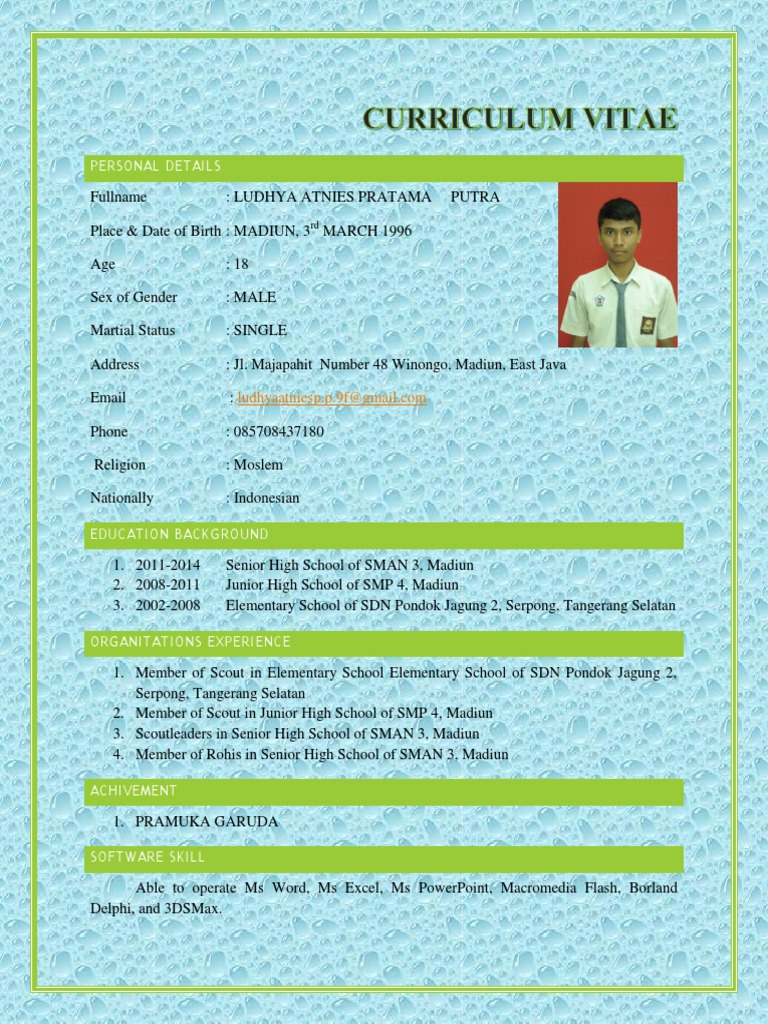 Detail Contoh Cv Sma Nomer 26