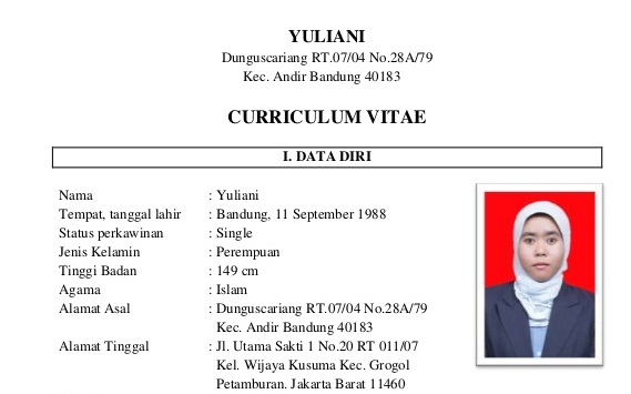 Detail Contoh Cv Teknik Informatika Nomer 38