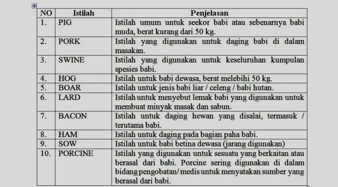 Detail Contoh Daftar Istilah Nomer 18