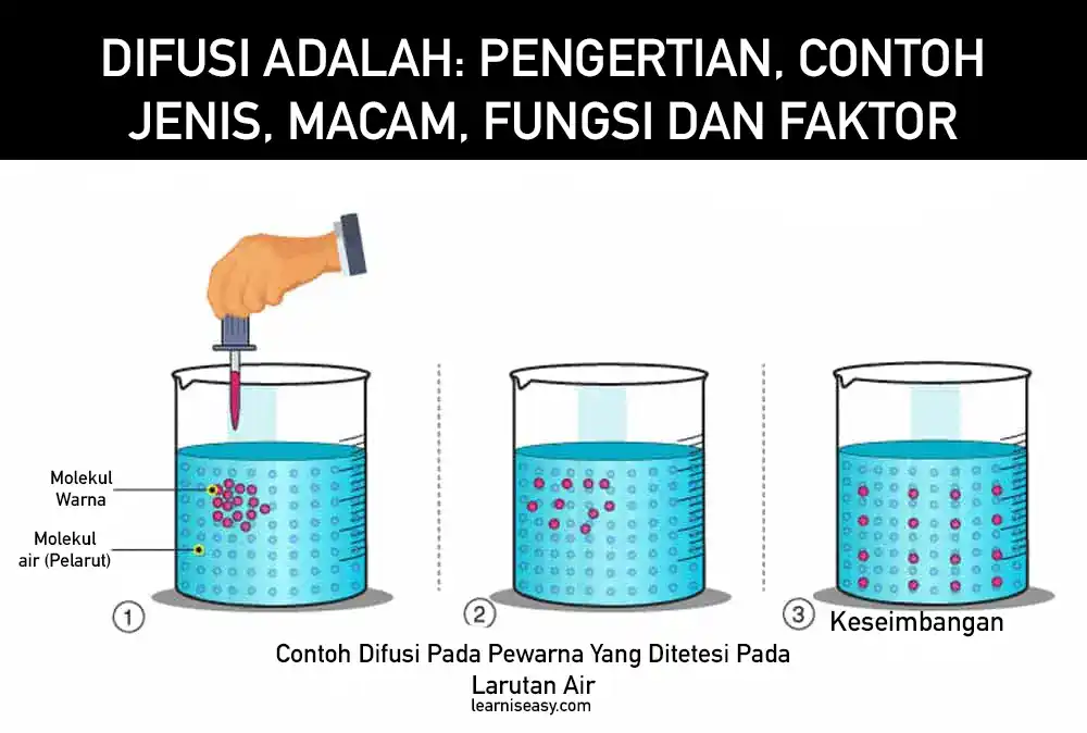 Detail Contoh Dari Osmosis Nomer 26