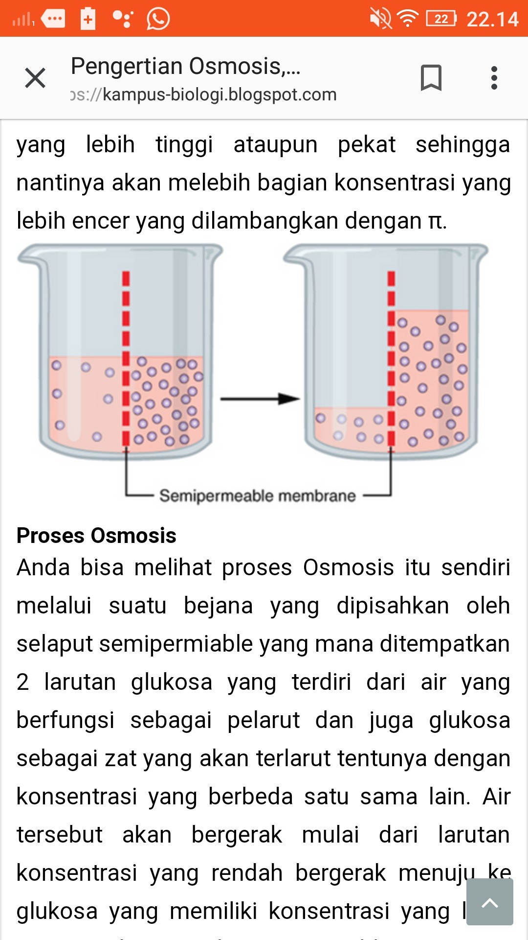 Detail Contoh Dari Osmosis Nomer 27