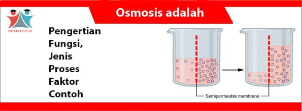 Detail Contoh Dari Osmosis Nomer 6