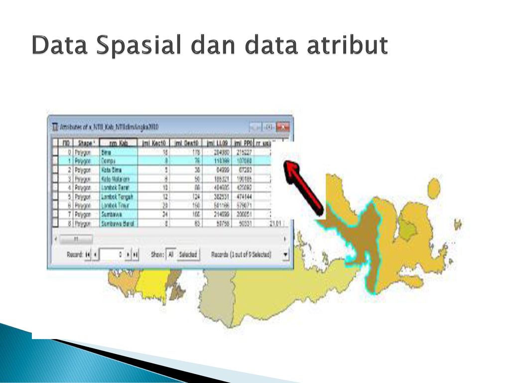 Detail Contoh Data Atribut Nomer 7
